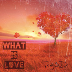 Tay3D. - What is Love