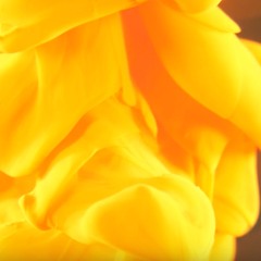 mandoline (synth pop)
