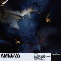 Ameeva — Abend in Cape Cod [Dust Trax]