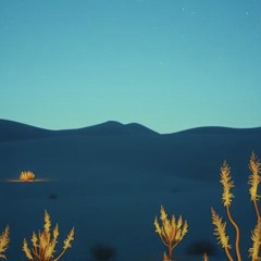 ‘Ant Mahfur Fi Qalbi_Remix_DJ Stef 1234_aka Steficii