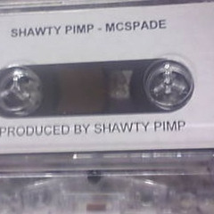 Shawty Pimp Ft. MC Spade - Gankin fools (Neos Beat 2)