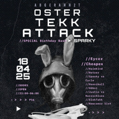 ElekTekk 10 Jahre Sparky ( Set Cut ) Live