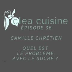 36 | Quel est le problème avec le sucre - Camille Chrétien, naturopathe