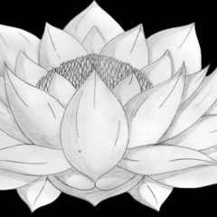 Flores de loto #8
