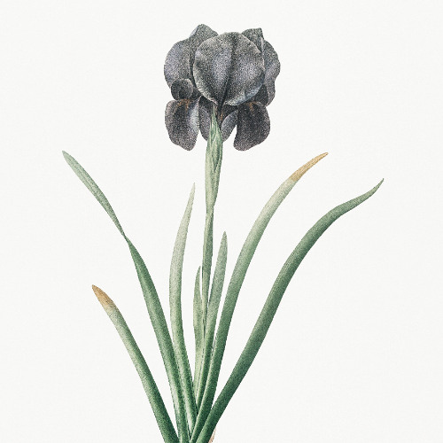 Polylith VIII (Tape Simulation Mix)