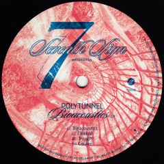 Polytunnel / Bioacoustics EP Polytunnel / Bioacoustics EP