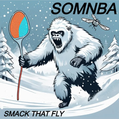 Smack That Fly