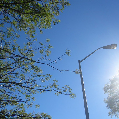 trappin adderalls⚕ ⚕ ⚕