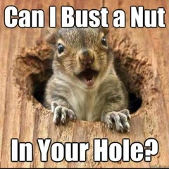 BUST A NUT Mix