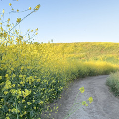 Jesus Lord, My Best Love Thou Art