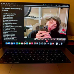 Флоу(Snippet 08.10.24)—OG Buda