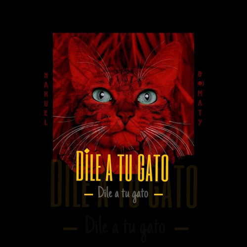 Dile A Tu Gato