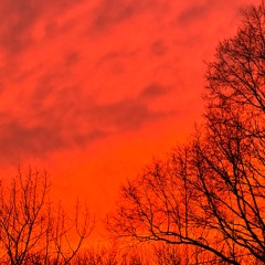 I Want To Worship You