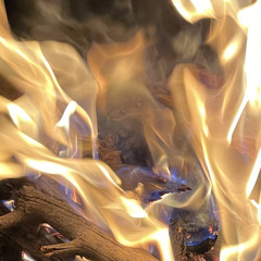 Onde o Jaguar Espreita (Advan Haschi)