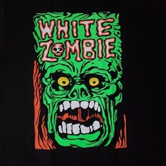 Black Sunshine - White Zombie (Bass Cover)