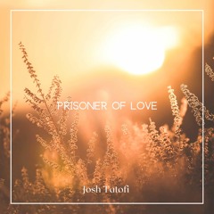 Josh Tatofi - Prisoner Of Love