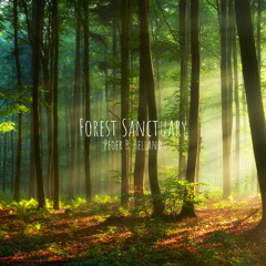 Peder B. Helland - Forest Sanctuary