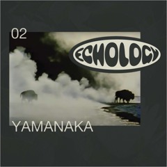 Echology 02 - Yamanaka