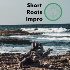 Short Roots Impro...