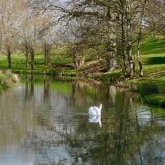 Bybrook 2 water music