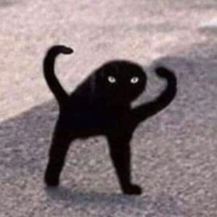 검은 고양이 네로