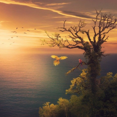 Discover Eternity