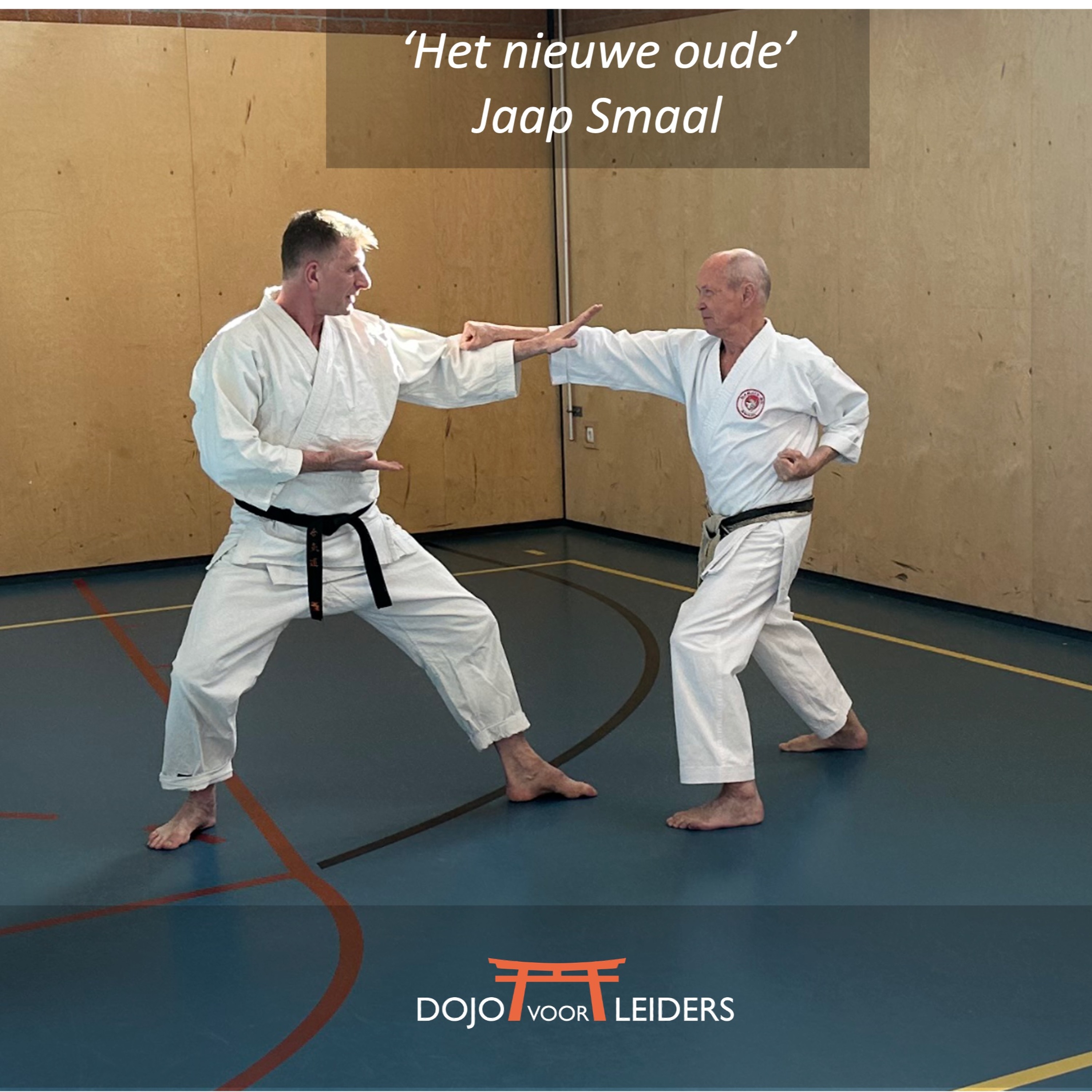 #7 'Het nieuwe oude' - Jaap Smaal/Karate - Podcast Dojo voor Leiders episode artwork