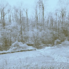 Not Remember (prod. by Cxdy)