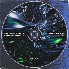 Zima Picks Vol. 1: Various Artists