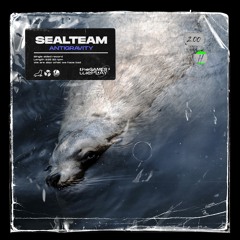 AntiGravity - Sealteam