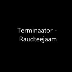 Terminaator - Raudteejaam