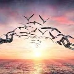 One In A Million Life - by Miles Young, Linda Andersson, Kathi Fran Copans