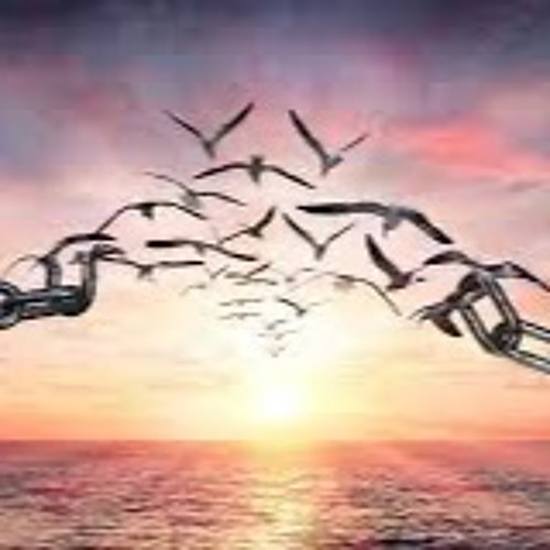 One In A Million Life - by Miles Young, Linda Andersson, Kathi Fran Copans