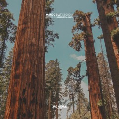 Premiere: Mango Cult - Sequoia (Mass Digital Remix) [3rd Avenue]