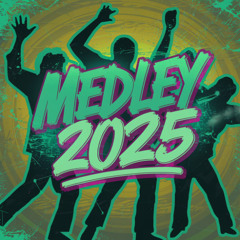 MC MININIM - MEDLEY 2025 - DJ VINI MS