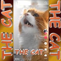 THE CAT