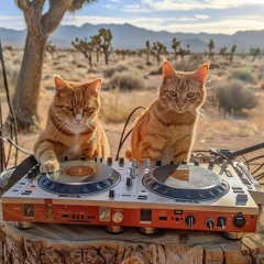 Tech House/House Mix