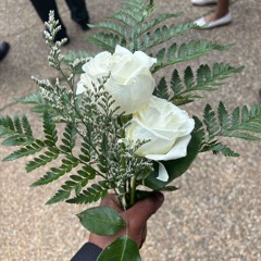 White Rose