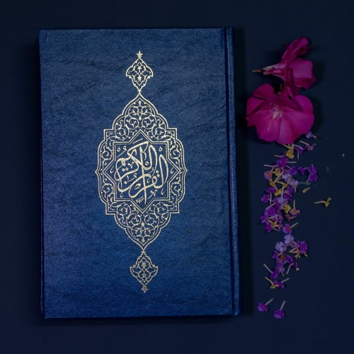متفرقات | محمد الفاتح
