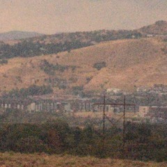 Growing Thread (housefinch ver.)