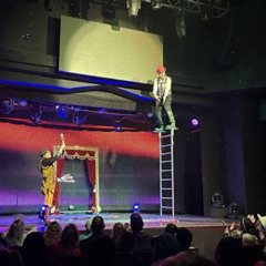 Review Special Price Popovich Comedy Pet Theater At Planet Hollywood Resort And Casino