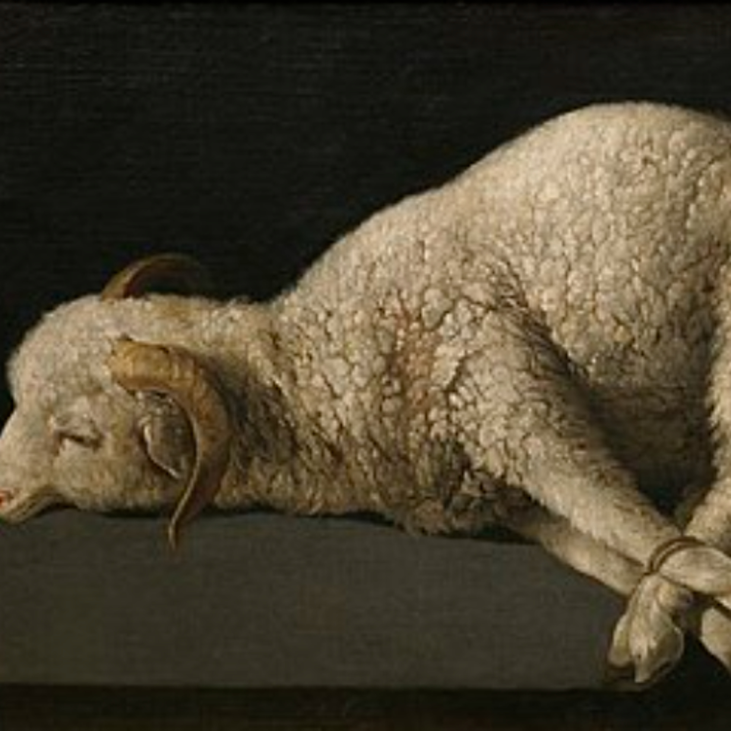 03/09/25 "Reunited in the Hope of the Gospel" (Colossians 1:21-23)