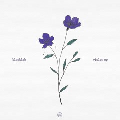 Blacklab - Unreal