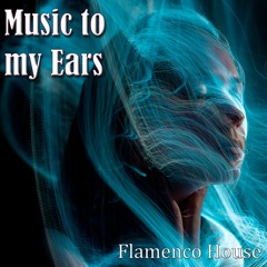 Flamenco House Music: Music to my Ears