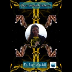 The Short Snouted Seahorse, with Lucy Woodall, for Voices from the Ocean