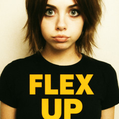 FLEX-UP