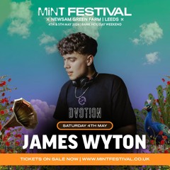 James Wyton @ Mint Festival 2024 Ring Stage - DVOTION Takeover