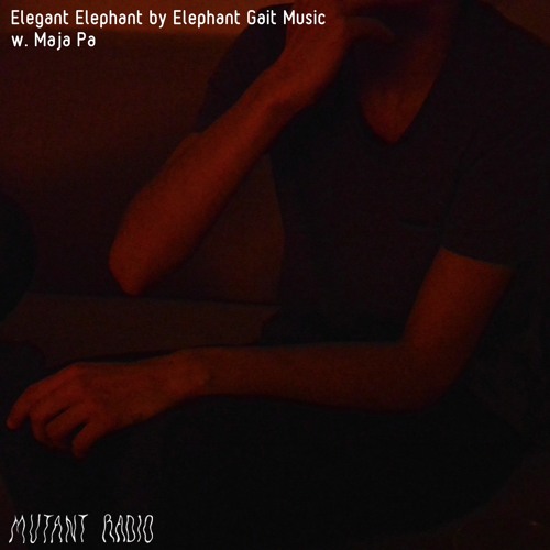 Elegant Elephant by Elephant Gait Music w. Maja Pa [02.02.2022]