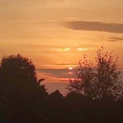 Дисс на пионера by FlugerNew