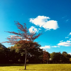 Mini Set Series -- 01 -- Sky Blue